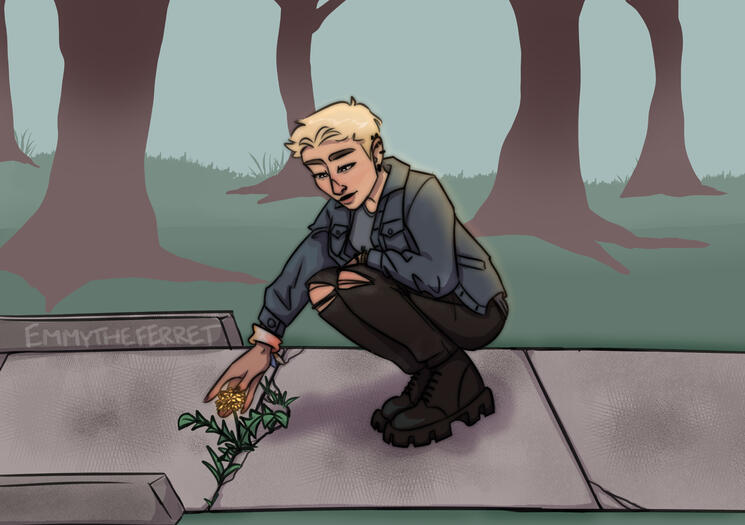 A lone dandelion